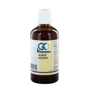 GO Alnus incana