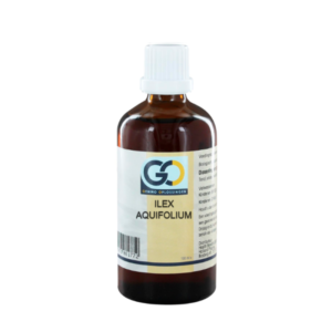GO Ilex aquifolium