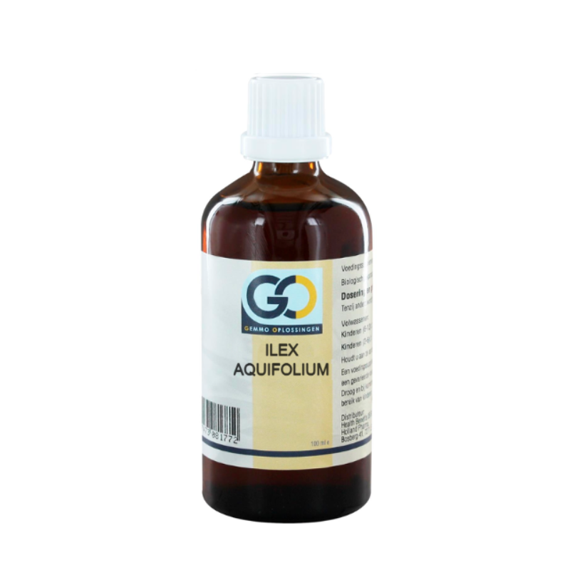 GO Ilex aquifolium
