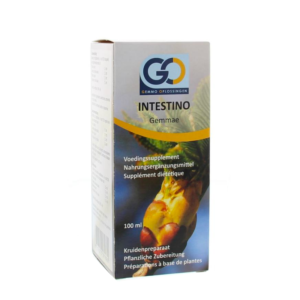 GO Intestino