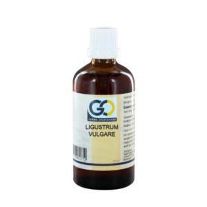 GO Ligustrum vulgare