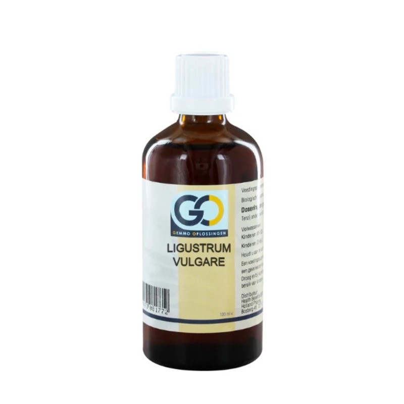 GO Ligustrum vulgare