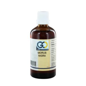 GO Morus nigra