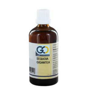 GO Sequoia gigantea