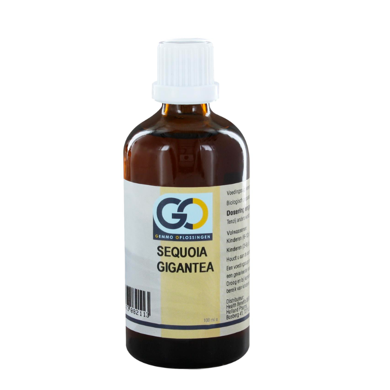 GO Sequoia gigantea