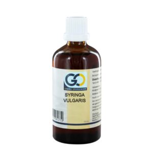GO Syringa vulgaris