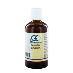 GO Tamarix gallica